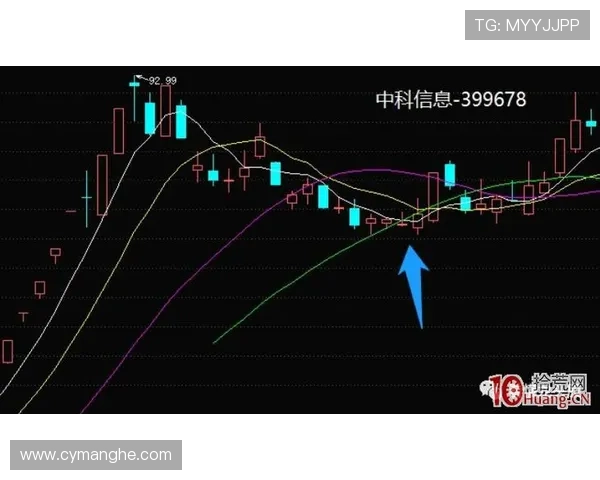 南京排球队杯赛表现分析：意识与团队协作的深度探讨