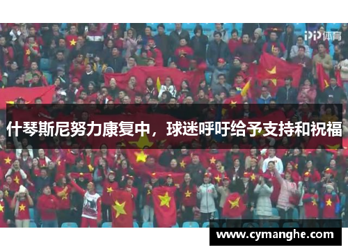 什琴斯尼努力康复中，球迷呼吁给予支持和祝福