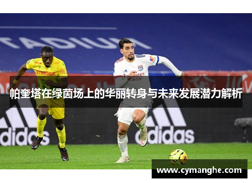 帕奎塔在绿茵场上的华丽转身与未来发展潜力解析