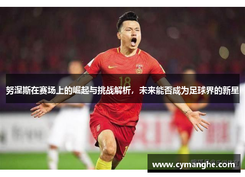 努涅斯在赛场上的崛起与挑战解析，未来能否成为足球界的新星