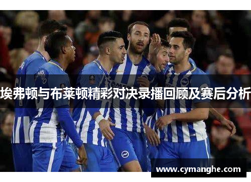 埃弗顿与布莱顿精彩对决录播回顾及赛后分析